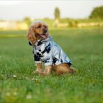 XL Camouflage Patroon Reflecterende Hondenregenjas