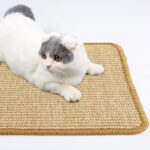 Krabmat voor katten - sisaltapijt - natuurlijke kattenkrabplanken - antislip - beschermt tapijten en banken - 30 x 40 cm - kaki - Afbeelding 5