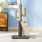 Cactus Kattenkrabpaal - Zeer sterke tapijtkrabpalen voor binnenkatten, krabpaal van sisaltouw voor kittens, stevige kleine kattenkrabpaal met verstelbare krabarm, bruin, 65 cm - Afbeelding 4