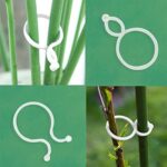 Clips voor Planten - 100 Stuks Tuinclips voor Groenten en Wijnstokken - Afbeelding 3