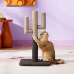 Cactus Kattenkrabpaal - Zeer sterke tapijtkrabpalen voor binnenkatten, krabpaal van sisaltouw voor kittens, stevige kleine kattenkrabpaal met verstelbare krabarm, bruin, 65 cm - Afbeelding 5