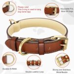 Leren Hondenriem-100% Echt Leer-Zacht en Duurzaam-Trekkracht 350lb-Maatkeuze-Kwaliteitsgespen-Duurzaamheid-Klantenservice - Afbeelding 6