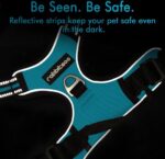 Hondentuigje | Anti-Trektuig | Hond Met Bediening | Geen Trek | Verstelbaar Hondentuig | Ademend | Reflecterende Strips | Borsttuig Hond | Veilig | Gids Teal S - Afbeelding 2