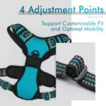 Hondentuigje | Anti-Trektuig | Hond Met Bediening | Geen Trek | Verstelbaar Hondentuig | Ademend | Reflecterende Strips | Borsttuig Hond | Veilig | Gids Teal S - Afbeelding 8