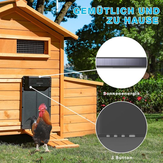 550x550 Automatische kippendeur , elektrisch kippenhok , kippendeur, - Afbeelding 1