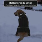 Reflecterende hondenjas met harnas - waterdichte warme hondentrui - maat L - Afbeelding 7