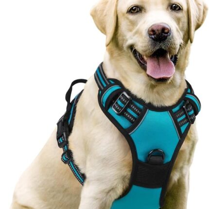 Hondentuigje | Anti-Trektuig | Hond Met Bediening | Geen Trek | Verstelbaar Hondentuig | Ademend | Reflecterende Strips | Borsttuig Hond | Veilig | Gids Teal S