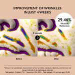 Haruharu Wonder Centella Phyto & 5 Peptide Concentrate Cream - Afbeelding 3