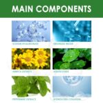 SAINGACE Centella Asiatica Bubble Clay Gezichtsmasker - Afbeelding 2