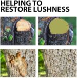 Plantherstellende pasta, 100 g wondafdichting - Afbeelding 3