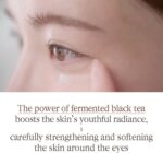 Pyunkang Yul - Tea Time Reverse Eye Cream - 25ml - Afbeelding 2