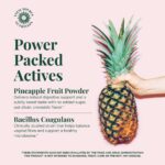 Vital Source Nutrition Balans Gummies - Afbeelding 5